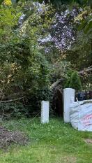 Foto: Baum ungestützt - Wasserentnahmestelle blockiert 